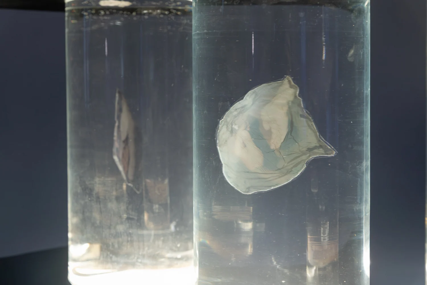 exhibition_unstable-images_nov-2025_21_1500×1000